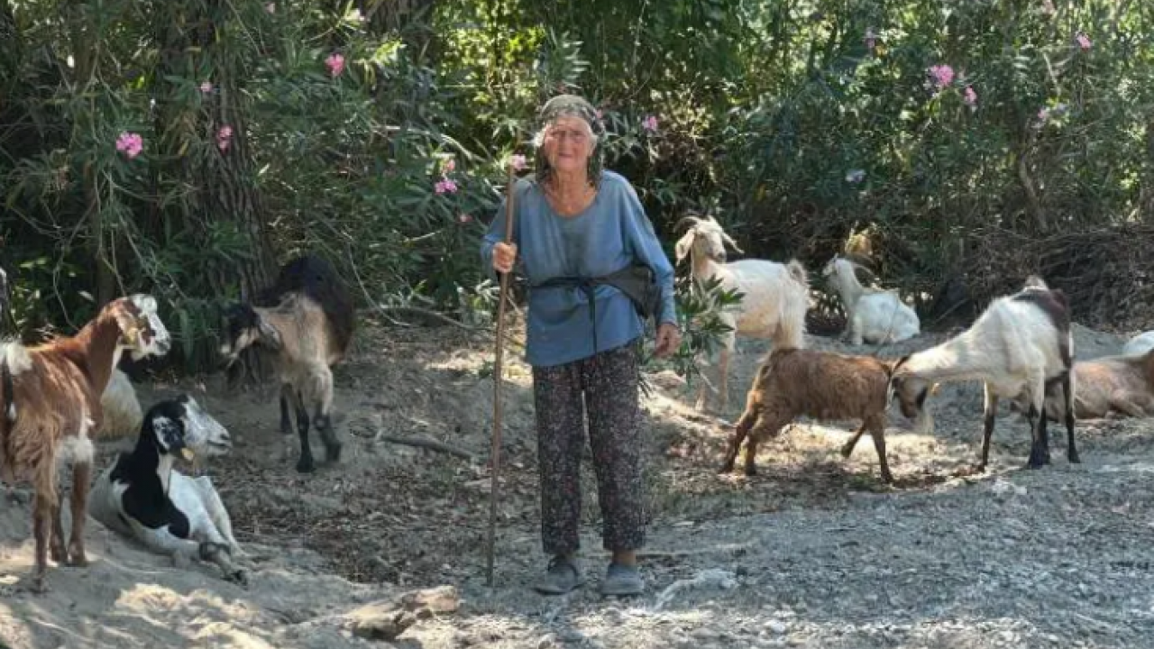 90 yaşındaki çobanı gören hayret ediyor: Sağlığının sırrını açıkladı!