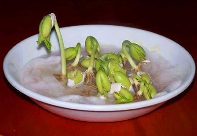 90'larda çocuk olmak