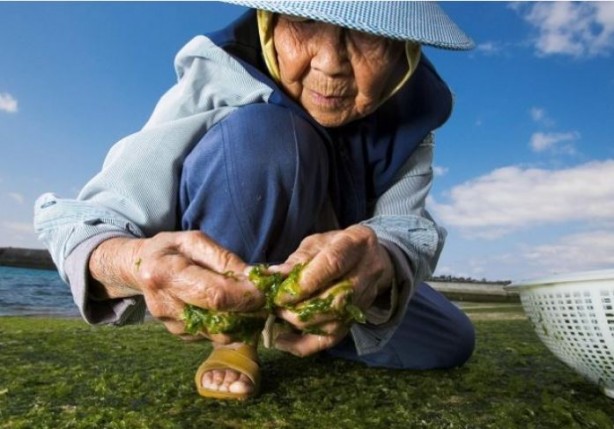 Foto - 95 yaşındaki kardiyoloğun uzun yaşam sırrı