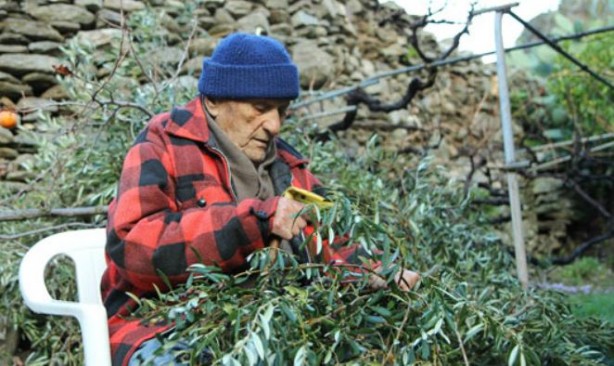 Foto - 95 yaşındaki kardiyoloğun uzun yaşam sırrı