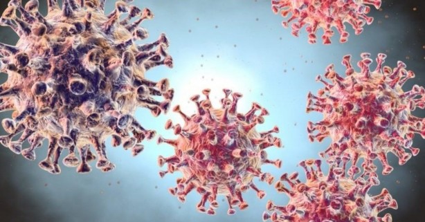 Foto - 97 milyon vatandaşı bulunan ülkede koronavirüsten ölen yok