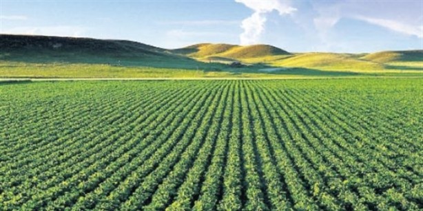 Foto - 99 yıllığına arazi kiralanmıştı! Türkiye'nin Sudan'daki tarım yapma projesiyle ilgili şok gelişme