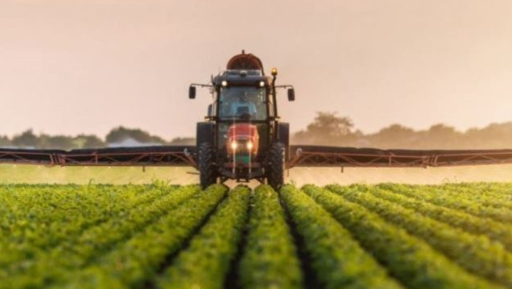 Foto - 99 yıllığına arazi kiralanmıştı! Türkiye'nin Sudan'daki tarım yapma projesiyle ilgili şok gelişme