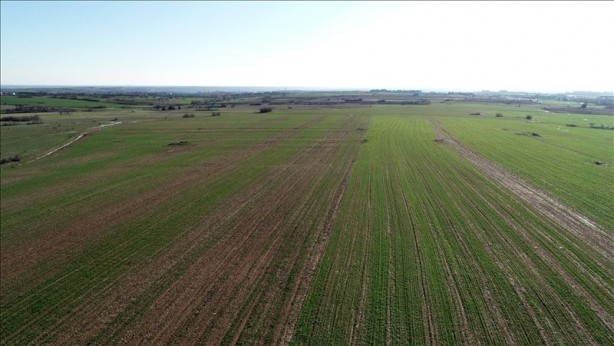 Foto - 99 yıllığına arazi kiralanmıştı! Türkiye'nin Sudan'daki tarım yapma projesiyle ilgili şok gelişme