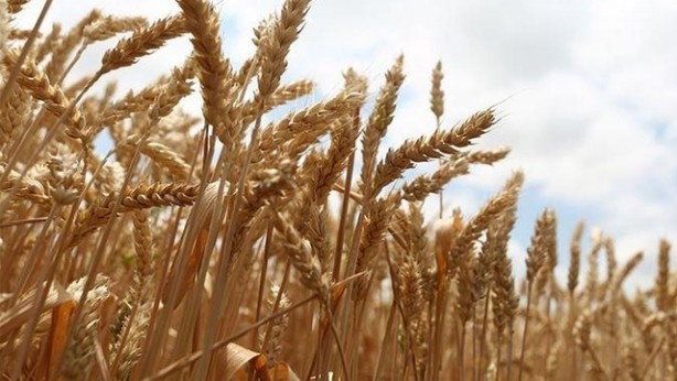 Foto - 99 yıllığına arazi kiralanmıştı! Türkiye'nin Sudan'daki tarım yapma projesiyle ilgili şok gelişme