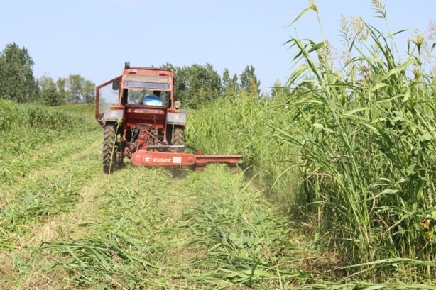 Foto - 99 yıllığına arazi kiralanmıştı! Türkiye'nin Sudan'daki tarım yapma projesiyle ilgili şok gelişme