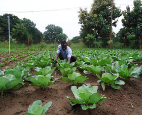 Foto - 99 yıllığına arazi kiralanmıştı! Türkiye'nin Sudan'daki tarım yapma projesiyle ilgili şok gelişme