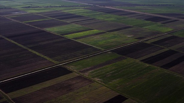 Foto - 99 yıllığına arazi kiralanmıştı! Türkiye'nin Sudan'daki tarım yapma projesiyle ilgili şok gelişme