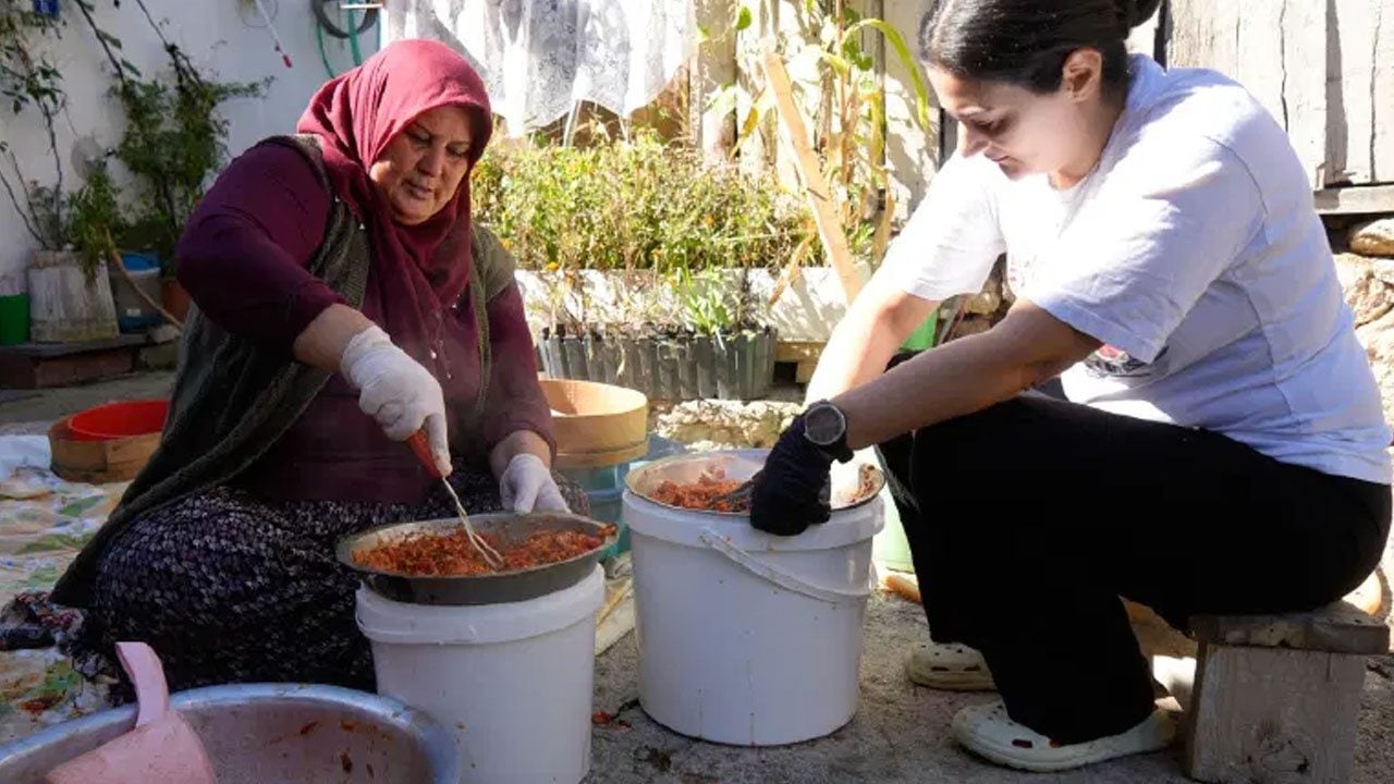 Foto - A ve C vitamini deposu: dikenli gül diyorlar... Dallardan tek tek elle toplanıyor