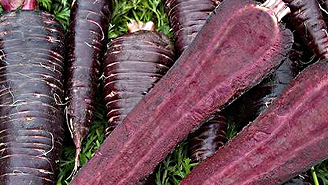 Foto - Soğuk havalarda bağışıklığı güçlendiriyor: A vitamini yönünden zengin, talep yüzde 40 arttı