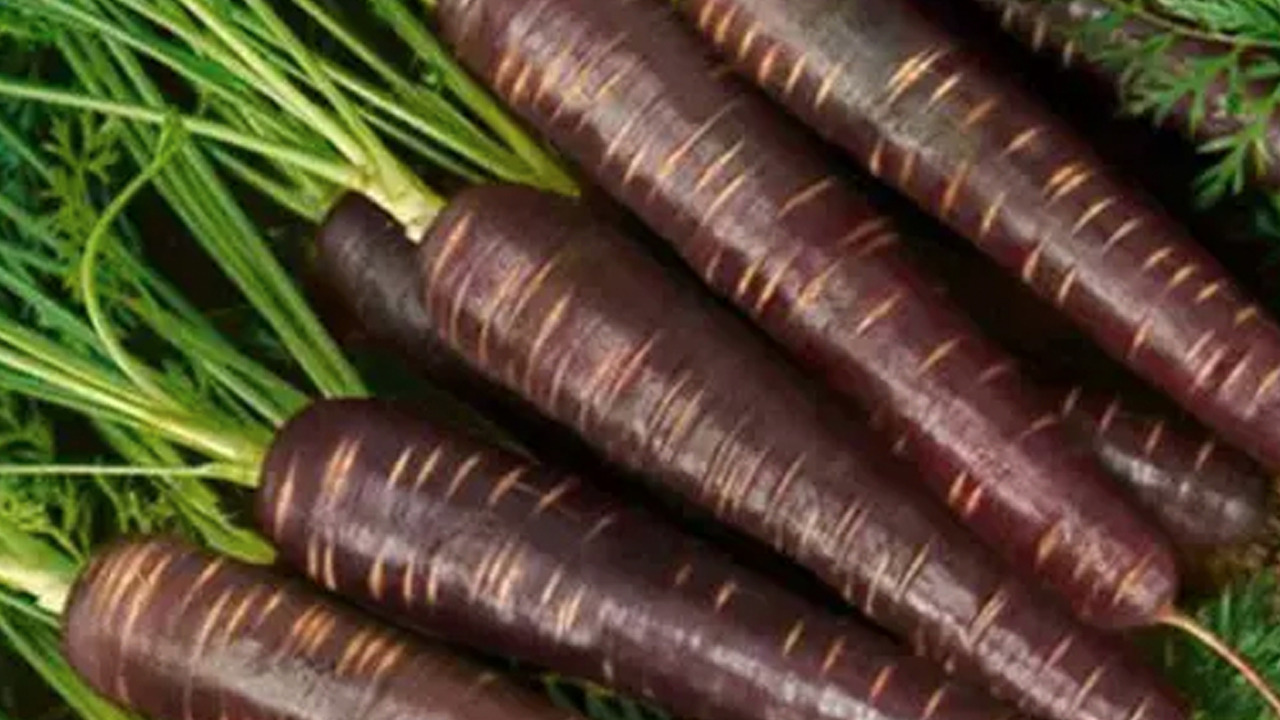 Foto - Soğuk havalarda bağışıklığı güçlendiriyor: A vitamini yönünden zengin, talep yüzde 40 arttı