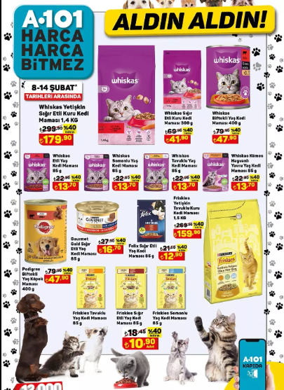 Foto - A101'e uygun yollu akıllı telefon, elektrik süpürgesi, halı ve koltuk yıkama makinesi geliyor! Dev kampanya