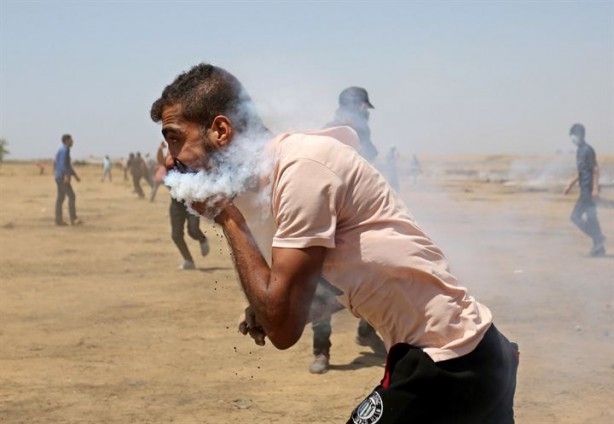 Foto - AA Yılın Fotoğrafları oylaması sonuçlandı