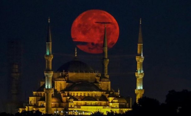 Foto - AA Yılın Fotoğrafları oylaması sonuçlandı