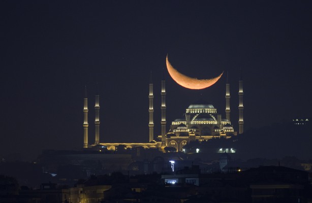 Foto - AA yılın fotoğrafları oylamasını başlattı! O kare damga vurdu