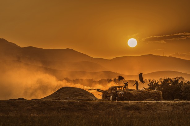 Foto - AA yılın fotoğrafları oylamasını başlattı! O kare damga vurdu