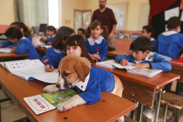 Foto - AA yılın fotoğrafları oylamasını başlattı! O kare damga vurdu