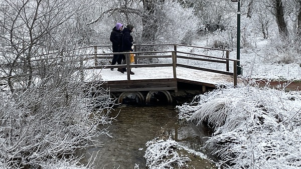 Foto - Abant Gölü’nde kartpostallık manzara