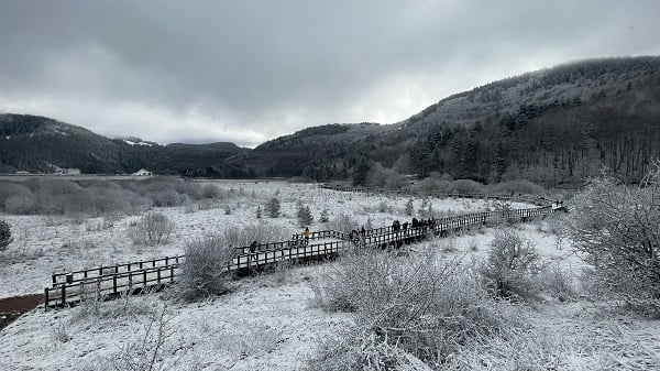 Abant Gölü’nde kartpostallık manzara