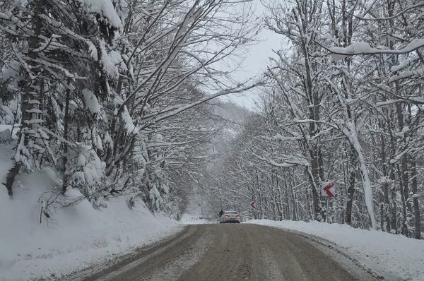 Foto - Abant Gölü'nün diğer yüzü! 