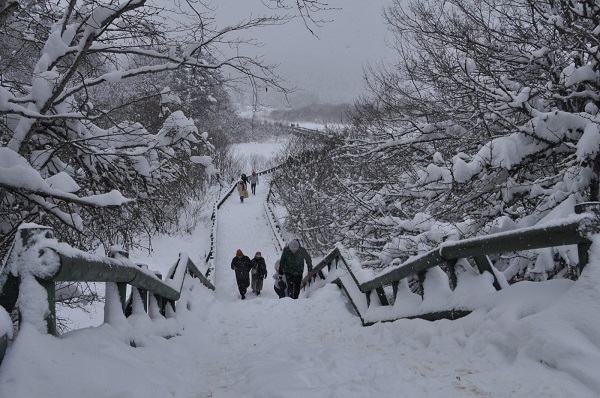 Foto - Abant Gölü'nün diğer yüzü! 