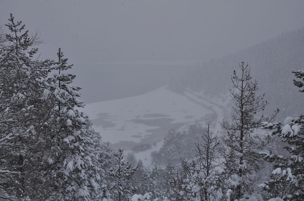 Foto - Abant Gölü'nün diğer yüzü! 