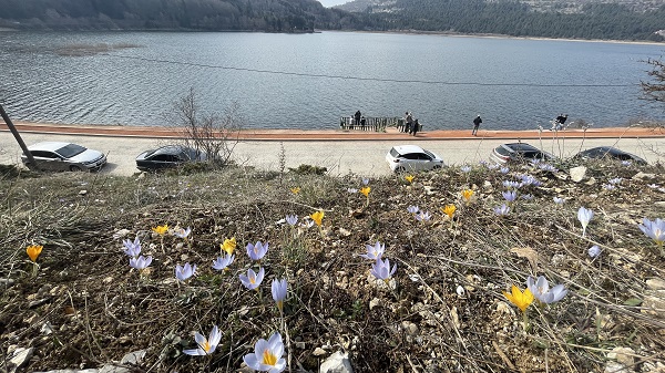 Foto - Abant renklenmeye başladı