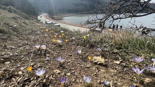 Foto - Abant renklenmeye başladı