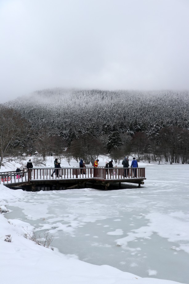 Foto - Abant ve Gölcük şiir gibi...
