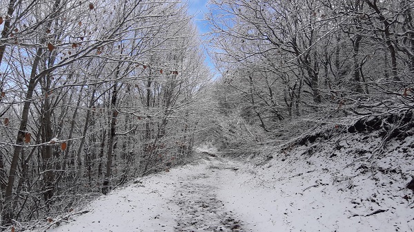 Foto - Abant'ta kış güzelliği