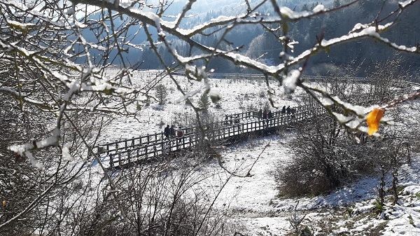 Foto - Abant'ta kış güzelliği