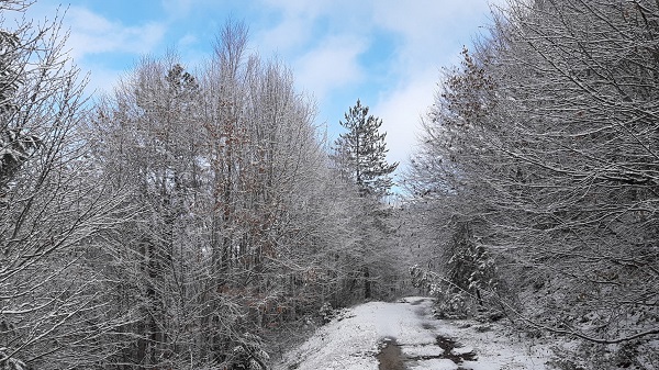 Foto - Abant'ta kış güzelliği