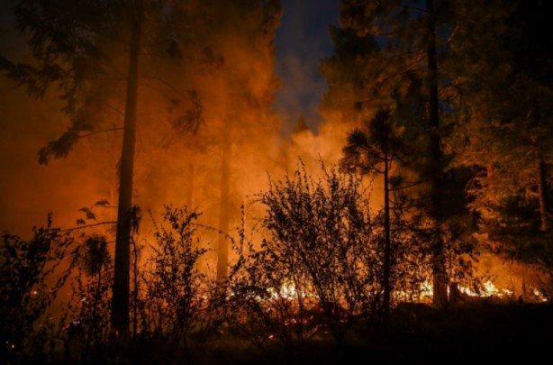 ABD alev alev yanıyor! 400 bin dönümden fazla alan kül oldu