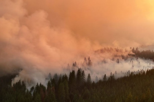 Foto - ABD alev alev yanıyor! 400 bin dönümden fazla alan kül oldu