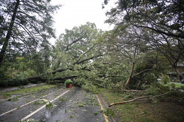 Foto - ABD felaketi yaşıyor! Ölü sayısı 90'a çıktı