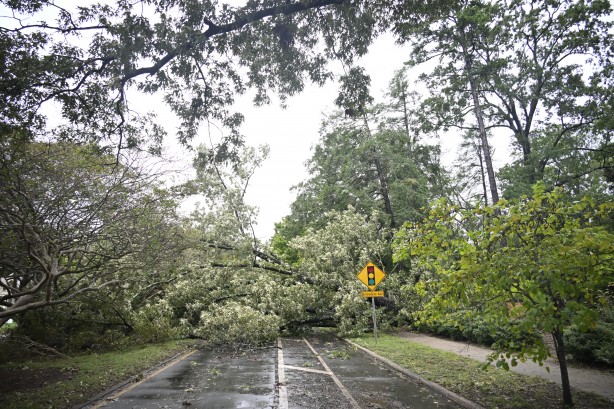 Foto - ABD felaketi yaşıyor! Ölü sayısı 90'a çıktı