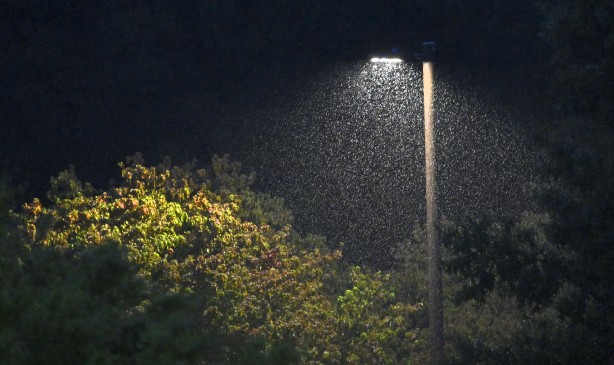 Foto - ABD felaketi yaşıyor! Ölü sayısı 90'a çıktı