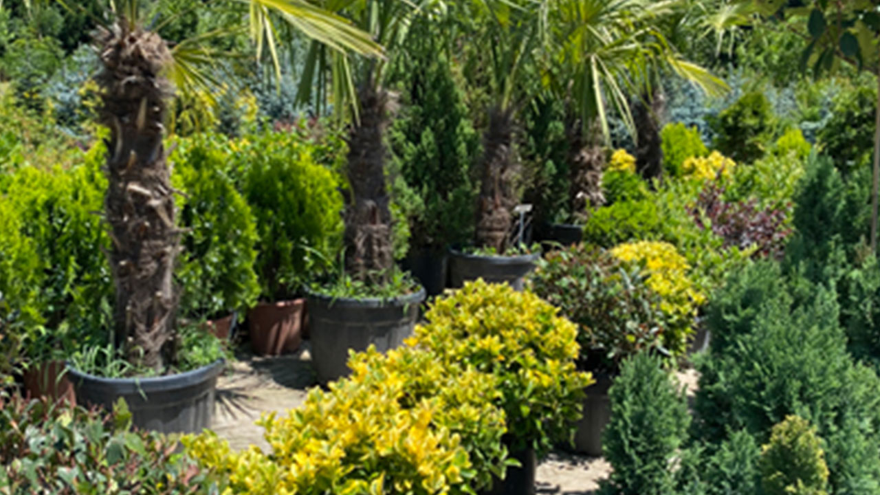 Foto - ABD, İtalya, Belarus ve Polonya'dan geliyordu! Türkiye reddetti, tehlikenin kıyısından döndük