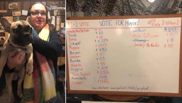 Foto - ABD layığını buldu! Şaka değil, köpek başkan seçildi!