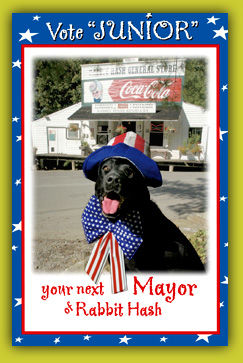 Foto - ABD layığını buldu! Şaka değil, köpek başkan seçildi!