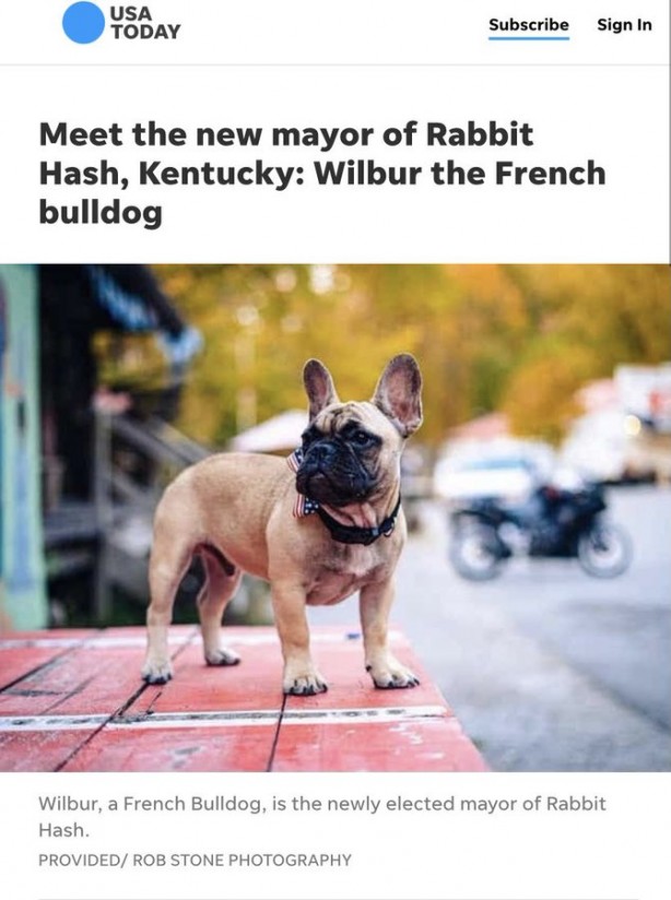 Foto - ABD layığını buldu! Şaka değil, köpek başkan seçildi!
