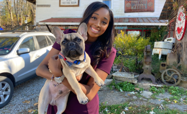 Foto - ABD layığını buldu! Şaka değil, köpek başkan seçildi!