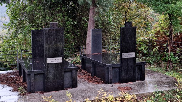 Foto - ABD o Türk'ün uzaylı olduğuna inanıyor! Trabzon'a kadar geldiler