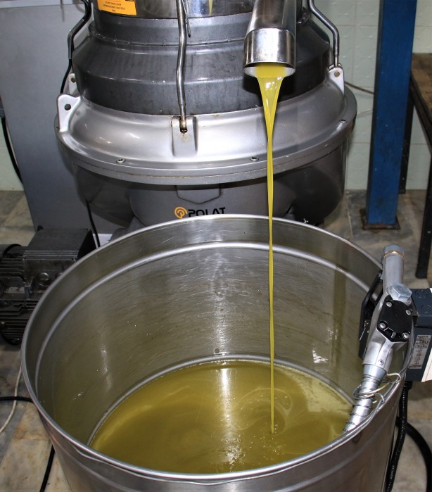 Foto - İspanya'dan vazgeçen ABD, Rusya ve onlarca ülke Türkiye'den almaya başladı! Mersinliler şaşkın