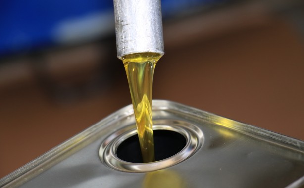 İspanya'dan vazgeçen ABD, Rusya ve onlarca ülke Türkiye'den almaya başladı! Mersinliler şaşkın