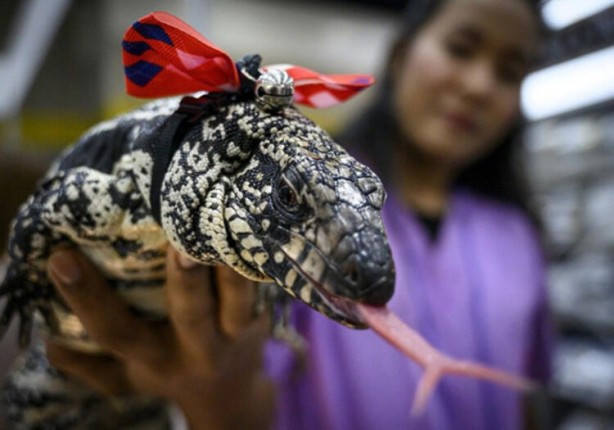 Foto - ABD şokta! İstila ettiler