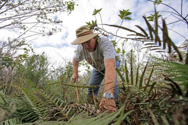 Foto - ABD şokta! İstila ettiler