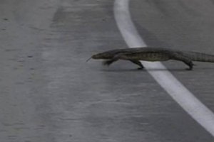 Foto - ABD şokta! İstila ettiler