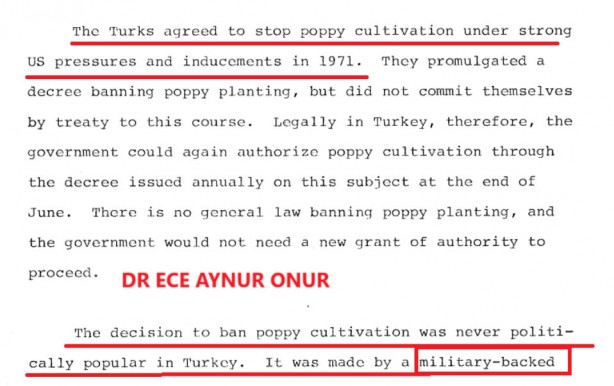 Foto - ABD Türk tarımını bitirdi! CIA belgelerinde ortaya çıktı, Türkiye ayağa kalkacak