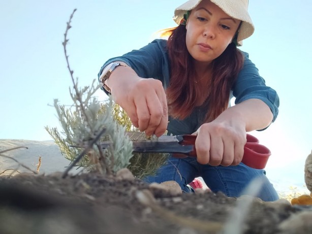 Foto - ABD Türk tarımını bitirdi! CIA belgelerinde ortaya çıktı, Türkiye ayağa kalkacak